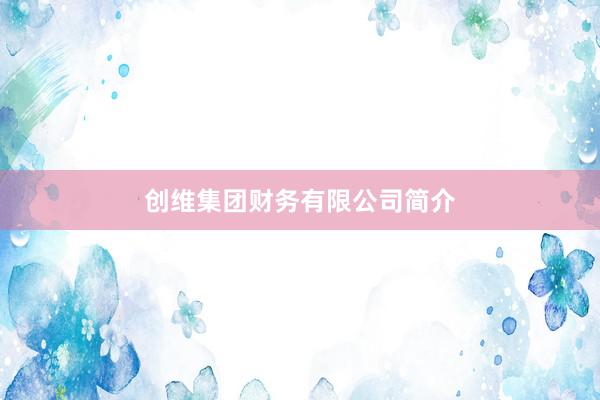 创维集团财务有限公司简介